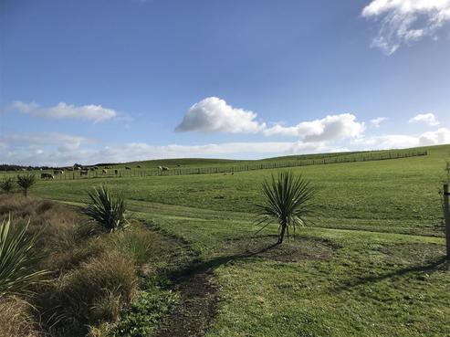 1 Blue Penguin Drive, Kerikeri