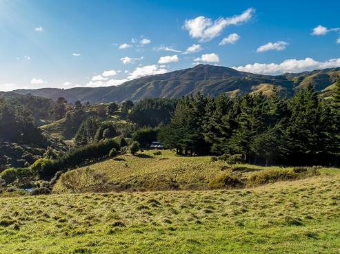 405A Makara Road, Makara