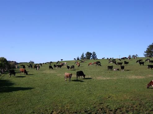 1807 Collingwood-puponga Main Road, Collingwood