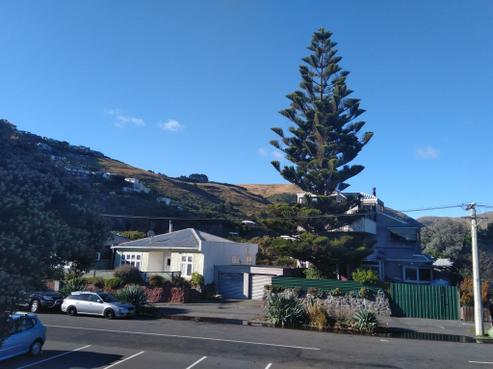 130 Esplanade, Sumner