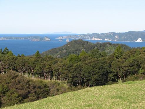 593B Kuaotunu Wharekaho Road, Kuaotunu