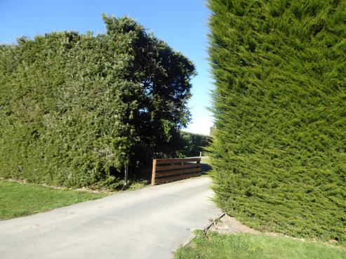 30 Dolma Street, Methven