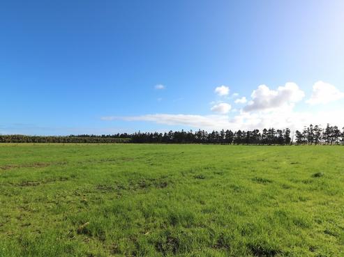 494 Gill Road, Kaitaia