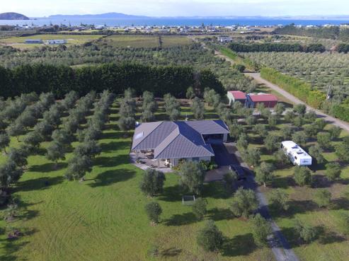 1344 Inland Road, Karikari Peninsula