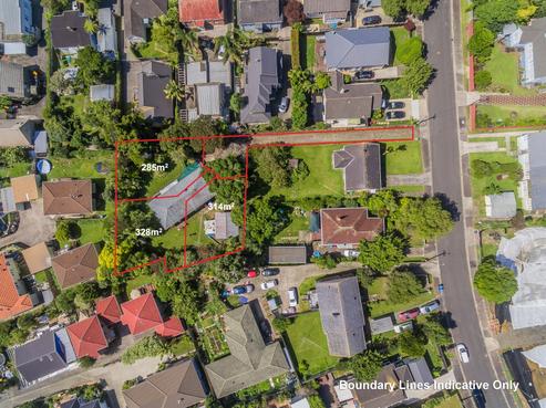 3A Tutuki Street, Waterview
