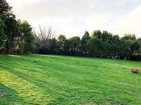 117 Grattan Road, Te Aroha