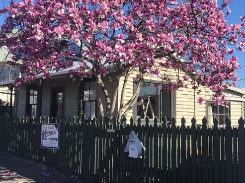 6 Hugh Street, Seaview