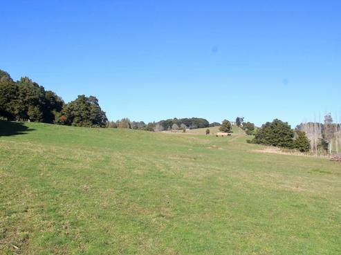 20 Burtt Road, Paerata