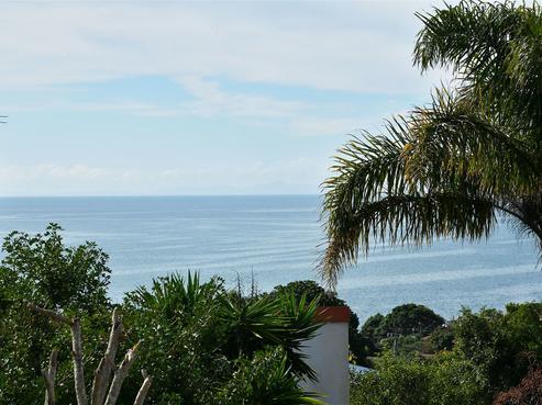 1219 Whangaparaoa Road, Gulf Harbour