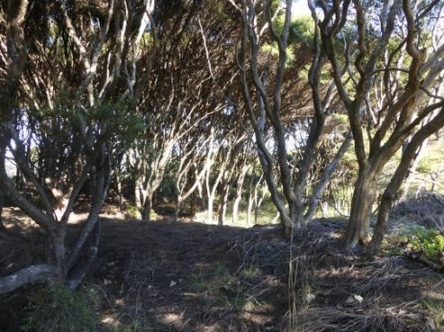 39 Hector Sanderson Road, Great Barrier Island
