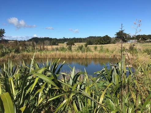 739 Barrier View Road, Mangawhai