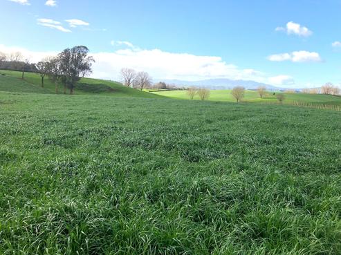 93 Ngahape Road, Otorohanga