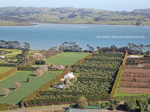 431 Glenbrook Beach Road, Glenbrook
