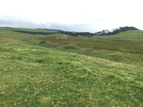 111 Kai Iwi Lakes Road, Dargaville Surrounds