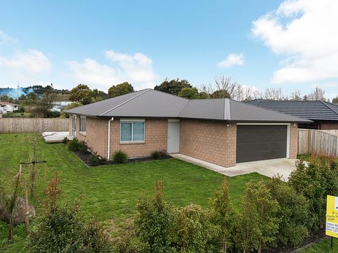15 Martindale Lane, Tuakau
