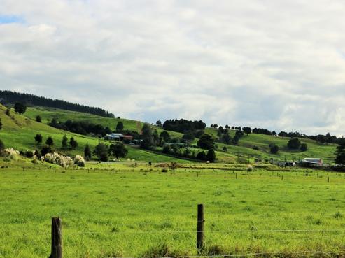 2579 State Highway 12, Dargaville Surrounds