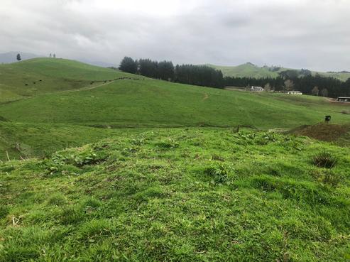 1028B Limeworks Loop Road, Te Pahu