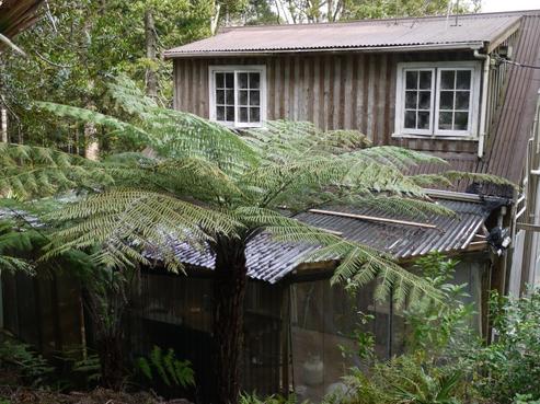 56 Crows Road, Swanson