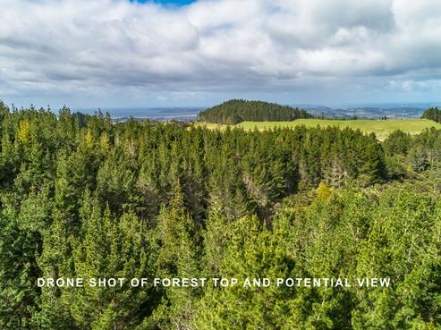 105 Govan Wilson Road, Whangaripo