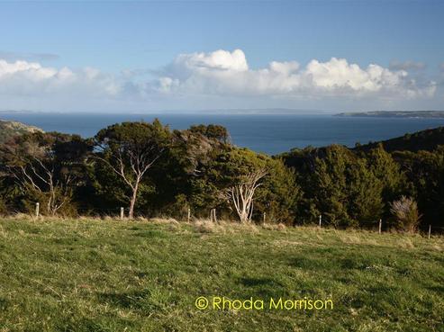 4 Te Wairoa Lane, Tinopai