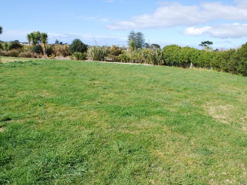 25 Celtic Place, Waipu