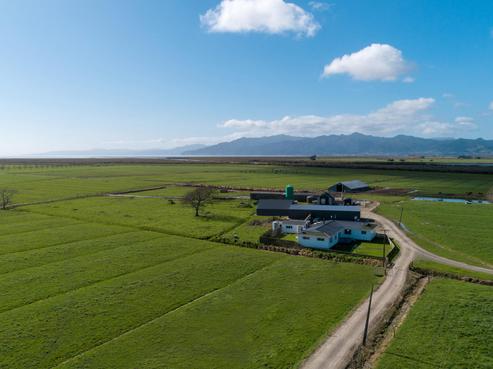 179 Buchanan Road, Pipiroa