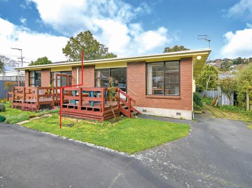 14A Selwyn Street, North East Valley