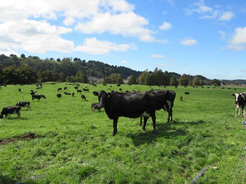 406 Tukituki Road, Ongaonga