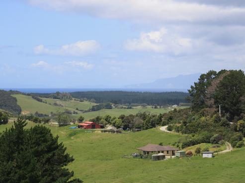 171 Te Arai Point Road, Te Arai