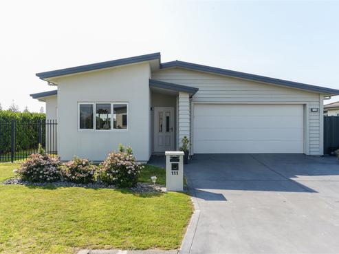 111 Squire Drive, Awatoto