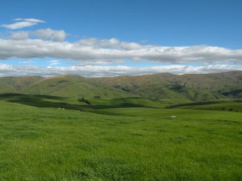 902 Moa Flat Road, Ettrick