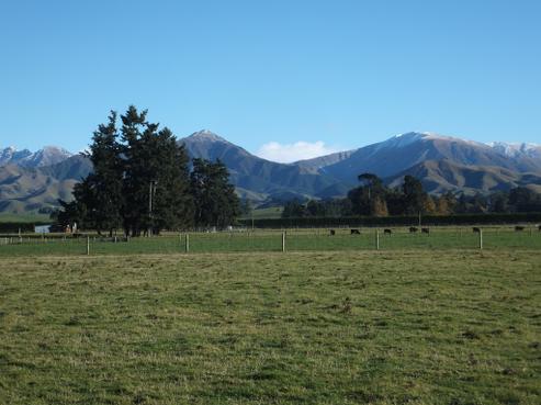 675 Woodbury Road, Geraldine