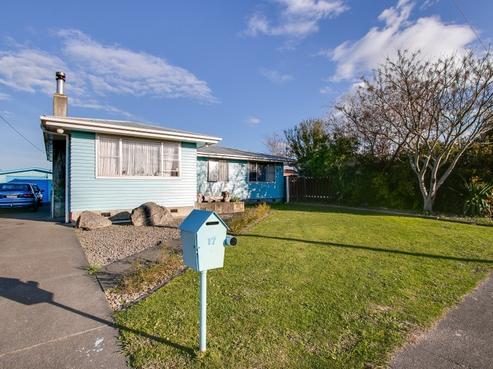 17 Alexander Avenue, Onekawa
