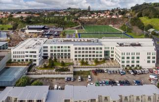 Professional Mount Eden office