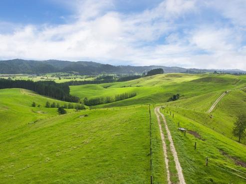 1752 Ruapekapeka Road, Kawakawa