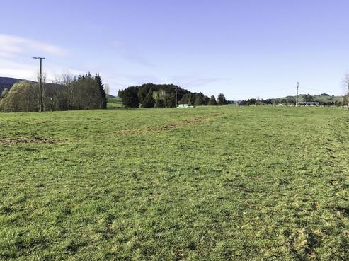 15 Hammond Place, Owhango
