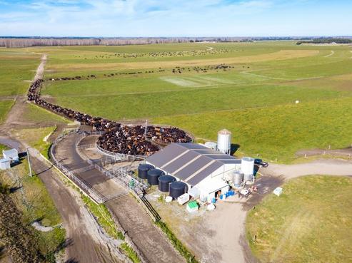 84 Forks Road, Methven