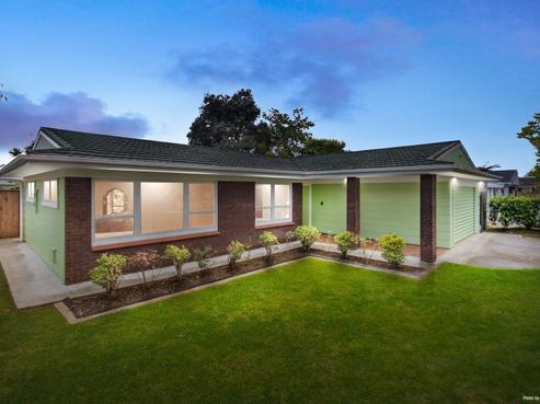 19 Taonui Street, Rosehill