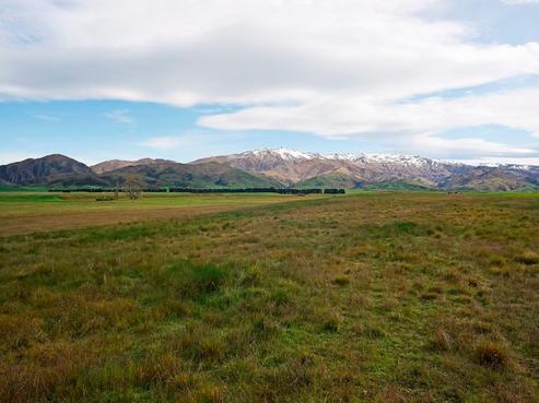 239 Nelsen Ridge Road, Clyde