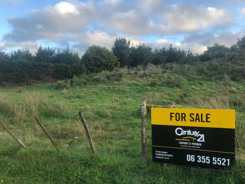 77 Palmer Road, Foxton Beach