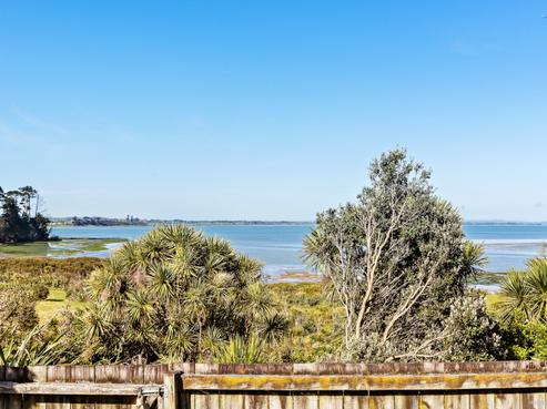 21 Eloise Place, Clendon Park