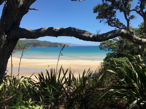 456 Shoal Bay Road, Great Barrier Island