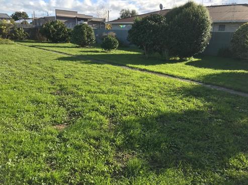 803A Avenue Road East, Parkvale