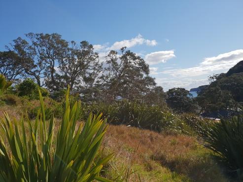 12 Mulberry Grove Road, Great Barrier Island