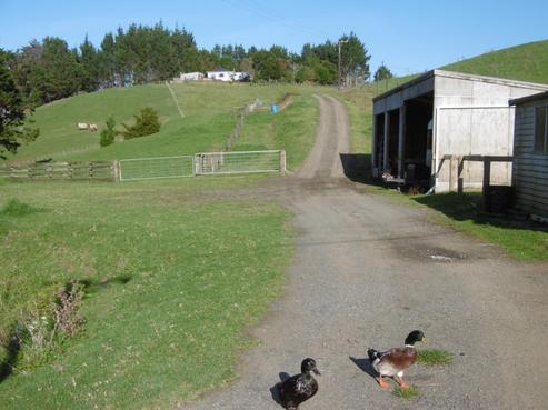 414 O'Carroll Road, Maungakaramea