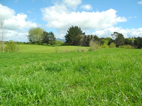 530 Ryburn Road, Ohaupo