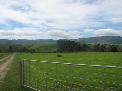 268 Taihoa North Road, Matamata