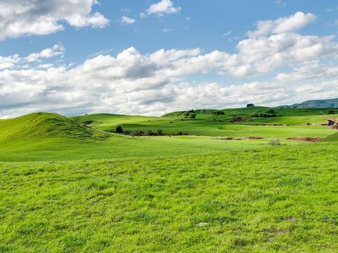 4684 State Highway 2, Kotemaori