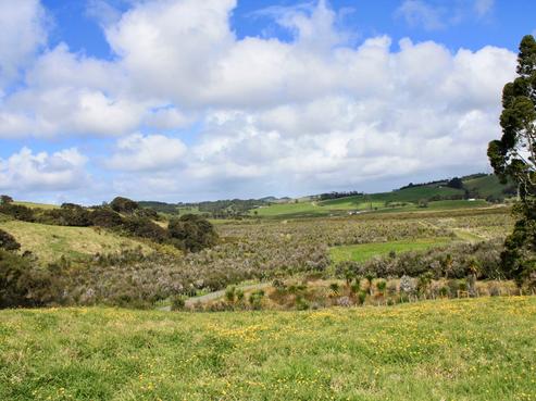198 Pinchgut Road, Kaukapakapa