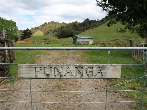 62 Toro Road, Tarata